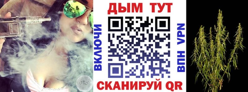 закладки  Нюрба  Бошки марихуана план 